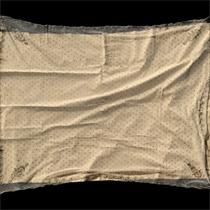 Western Asiatic Textile with Gold Embroidery