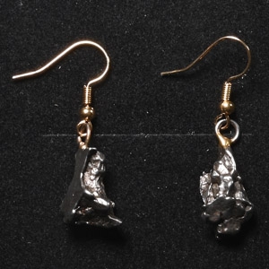 Campo Del Cielo Meteorite Earring Pair