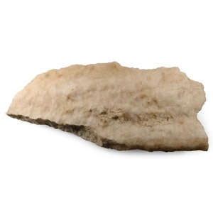 Calcite Stalagmite Fragment