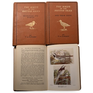 The Birds of the British Isles - Series 1 - 3