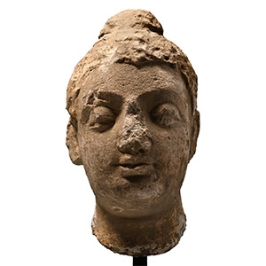 Gandharan Stucco Buddha Head