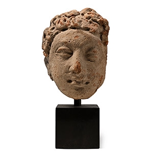 Gandharan Stucco Buddha Head