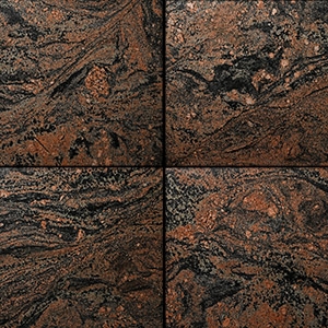 Morton Gneiss Plate Sections