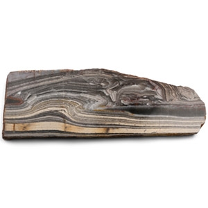Western Australian Polished Jerrinah Formation Stromatolite Section