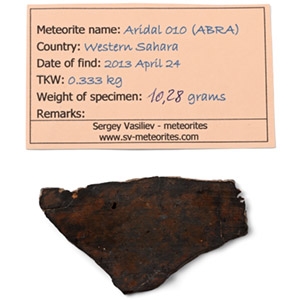 Aridal 010 (ABRA) Primative Achondrite Brachinite Meteorite Slice