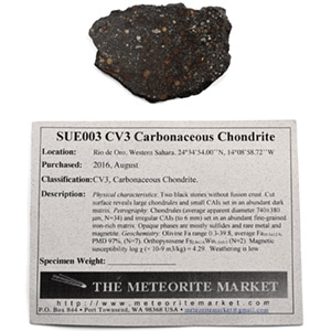 CV3 Carbonaceous Chondrite Cut and Polished Meteorite Slice