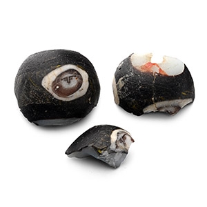 Phoenician Glass Eye Bead Fragments