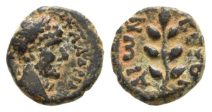 Hadrian AE 11mm of Beroea, Cyrrhestica.