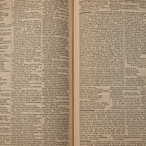 Kellys Sussex Directory - 1882