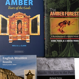 Books on Amber and Fossils - 4 Titles