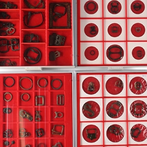 Medieval and Later Bronze Buckle Collection Held in Four Lindner Trays