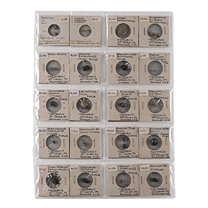 North American Fossil Collection