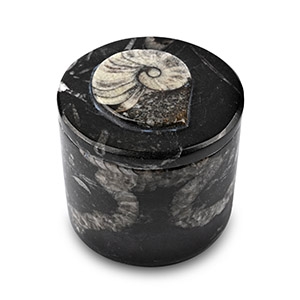 Polished Fossil Goniatite Ammonoid Lidded Trinket Box