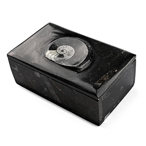 Polished Fossil Goniatite Ammonite Lidded Trinket Box