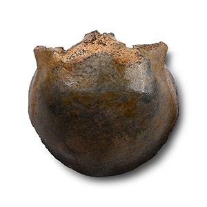 Saxon Human Skull Cap