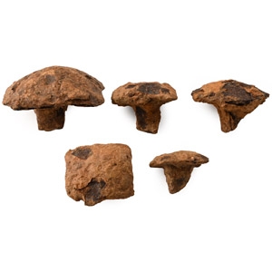 Anglo-Saxon Iron Nail Collection