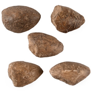 Greek Macedonian Lead Inscribed Impacted Slingshot Group