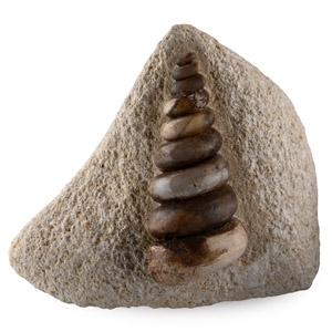 Fossil Gastropod Specimen