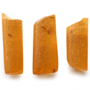 Insect Inclusions in Polished Amber