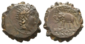 Seleukid Empire, Antiochos VI Dionysos AE Serrate.