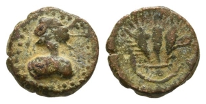 Palmyrene, Palmyra AE 11mm.