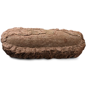 Large Fossil Theropod Dinosaur Egg