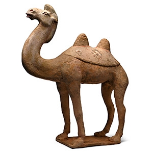 Chinese Tang Terracotta Camel