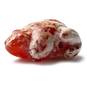 Egyptian Carnelian Frog Amulet