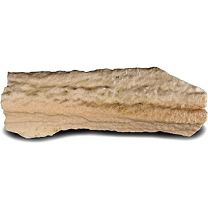 Large Cave Stalagmite Section