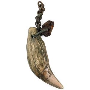 Viking Age Bears Tooth Pendant with Bronze Fittings