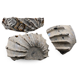 Roman Marbled Glass Fragments