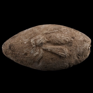 Greek Sling Shot with Bee