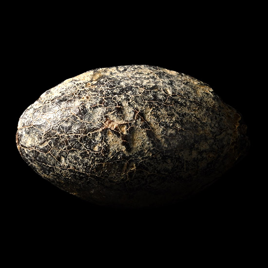 Greek Lead Slingshot