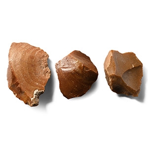 Stone Age Acheulian Knapped Scraper and Knife Group
