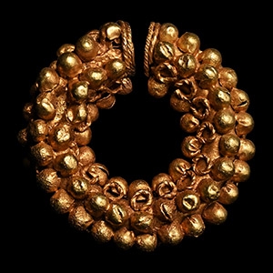 Etruscan Gold Leech Earring