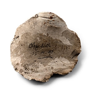Stone Age Annotated Flint Scraper