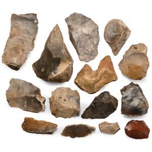 Stone Age Collection of Flint Tools and Implements