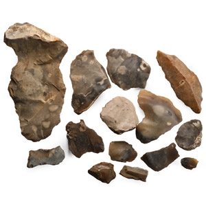 Stone Age Collection of Flint Tools and Implements