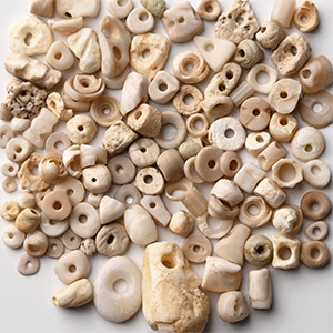 Western Asiatic White Stone and Shell Bead Collection