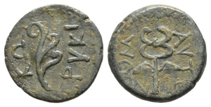 Cilicia, Korykos AE 18mm.