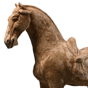 Chinese Tang Standing Saddled Horse