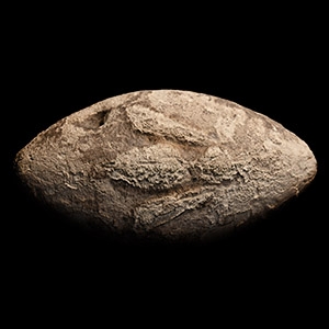 Hellenistic Rhodian Lead Slingshot with Bee