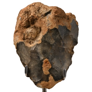 French Stone Age Neanderthal Handaxe with Fossil Echinoid