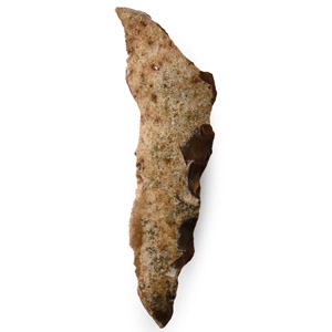 French Stone Age Gravettian Long Crested Blade
