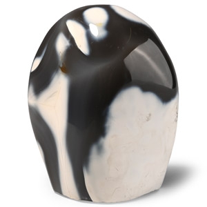 Polished Orca Agate Paperweight