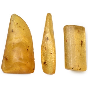 Polished Copal with Insects Group
