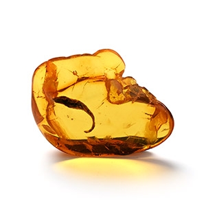 Polished Amber with Inclusion