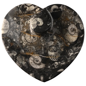 Fossil Goniatite Heart-Shaped Trinket Tray