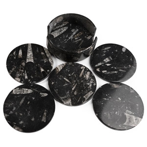 Polished Fossil Orthoceras Coaster Holder with Coasters