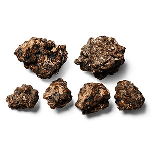 Mount Vesuvius Volcano Lava Bomb Fragment Group